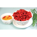 alto valor nutritivo bagas de goji alto valor nutricional Goji berries